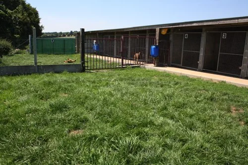 CEPJ - CENTRE TOILETTAGE & PENSION CHIEN JOSSELIN - Bretagne pet otel