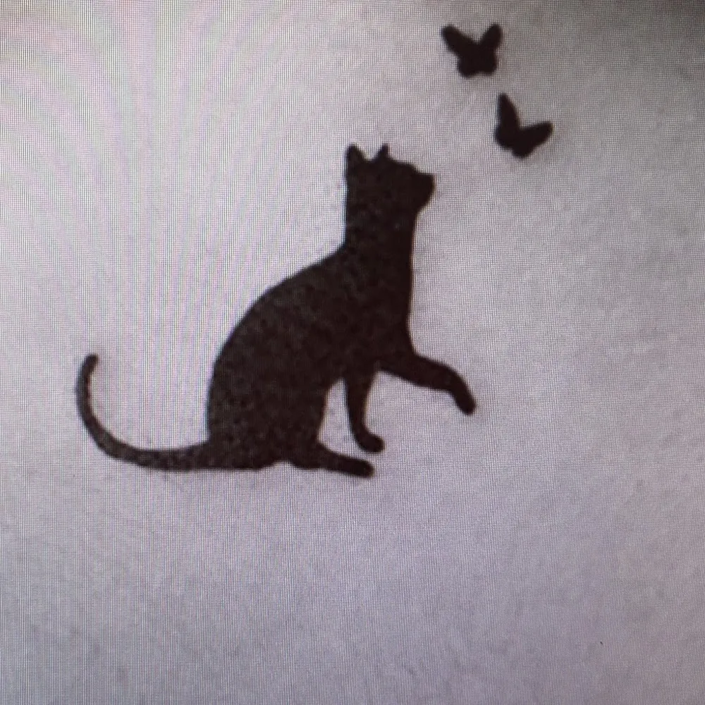 Chat 'O' pour Chats - Bretagne pet otel görseli 4