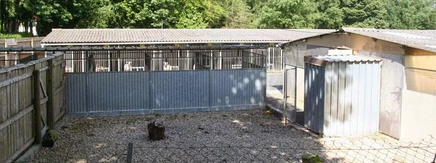 CHENIL SAINT ROCH - Bretagne pet otel görseli 3