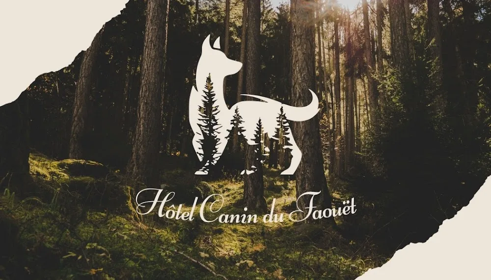 Hôtel canin du Faouët - Bretagne pet otel