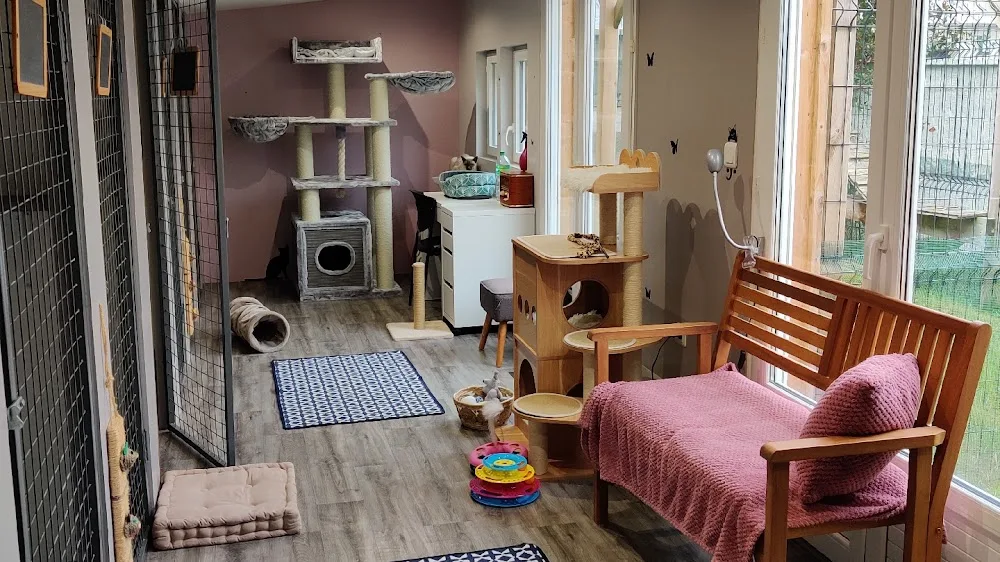 Hotel des Chats Malo - Bretagne pet otel