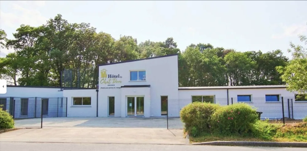Hôtel du Chat Doré - Bretagne pet otel görseli 2
