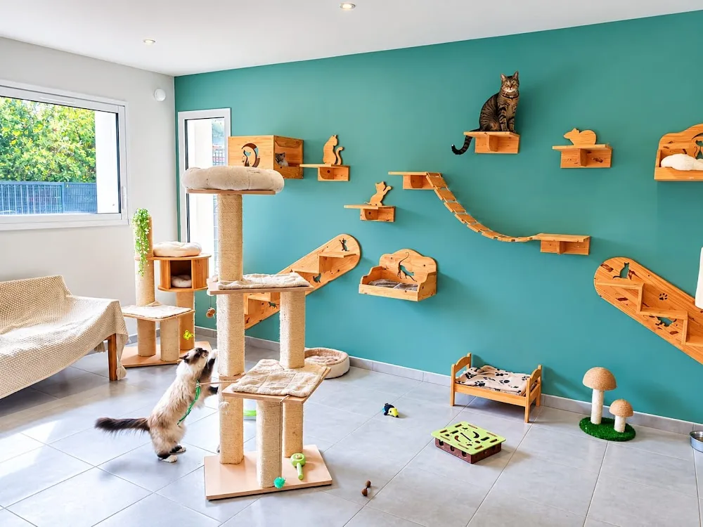 Hôtel du Chat Doré - Bretagne pet otel görseli 3