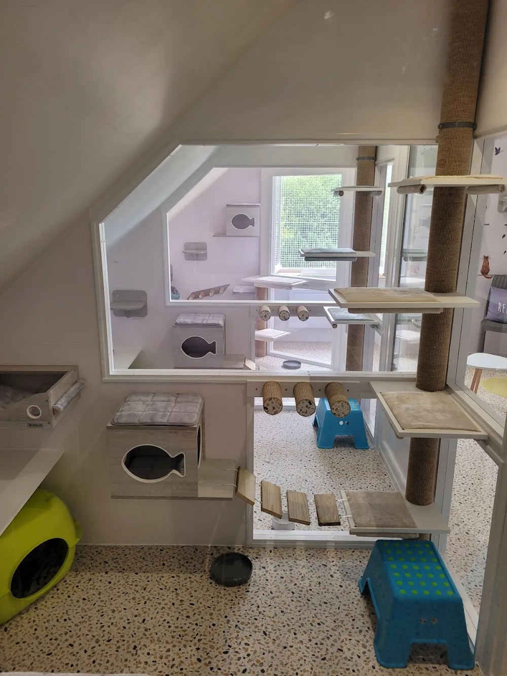Hôtel Félin SERENICAT pension pour chats 22 - Bretagne pet otel görseli 3