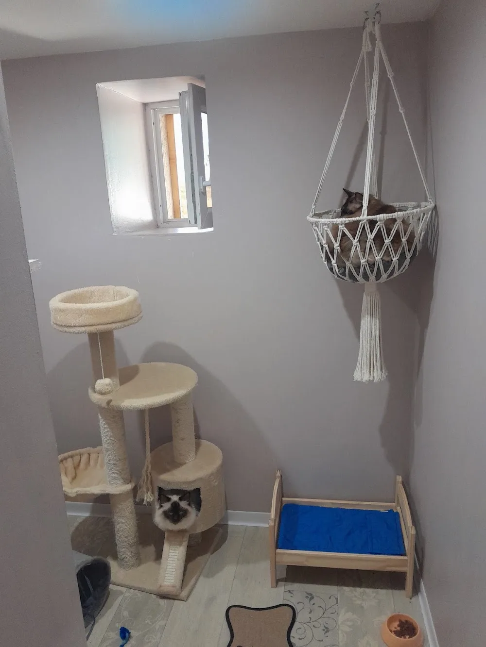 Hôtel Les Entrechats - Bretagne pet otel