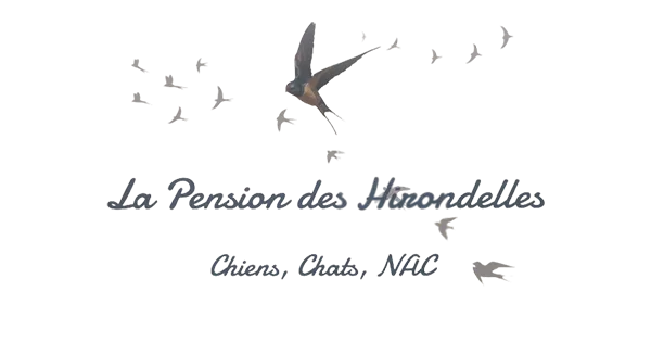 La Pension des Hirondelles - Bretagne pet otel