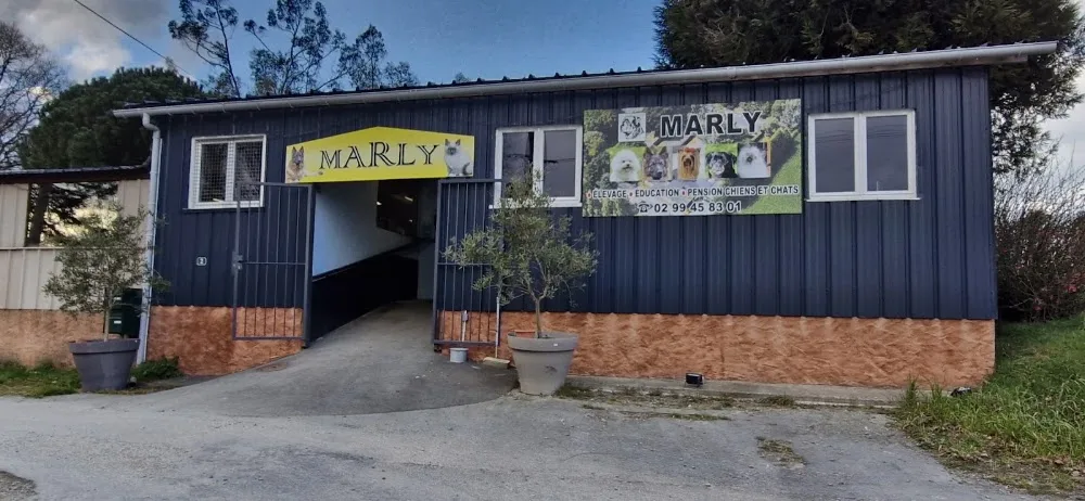 Le Chenil de Marly (chiens et chats) - Bretagne pet otel görseli 2