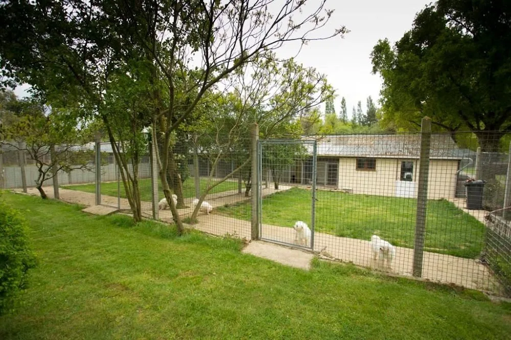 Le Chenil de Marly (chiens et chats) - Bretagne pet otel görseli 3