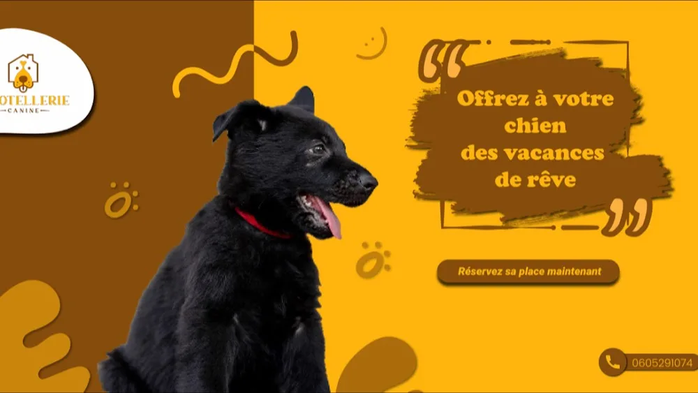L'hôtellerie canine - Bretagne pet otel