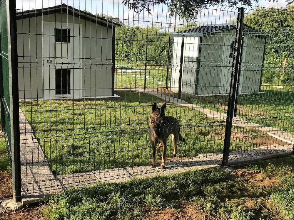 L'hôtellerie canine - Bretagne pet otel görseli 3
