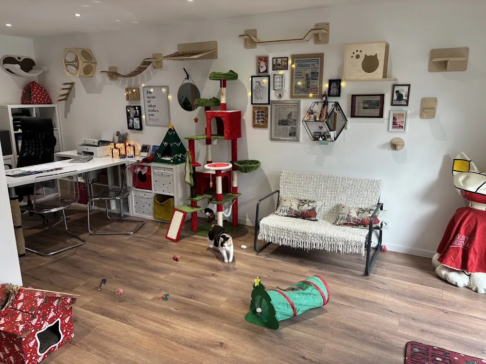 O’Tellement Chat - Bretagne pet otel