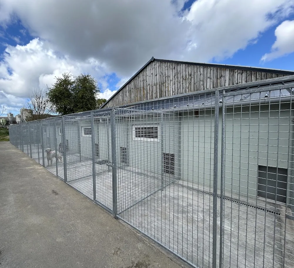 Pension canine de Kervagen - Bretagne pet otel