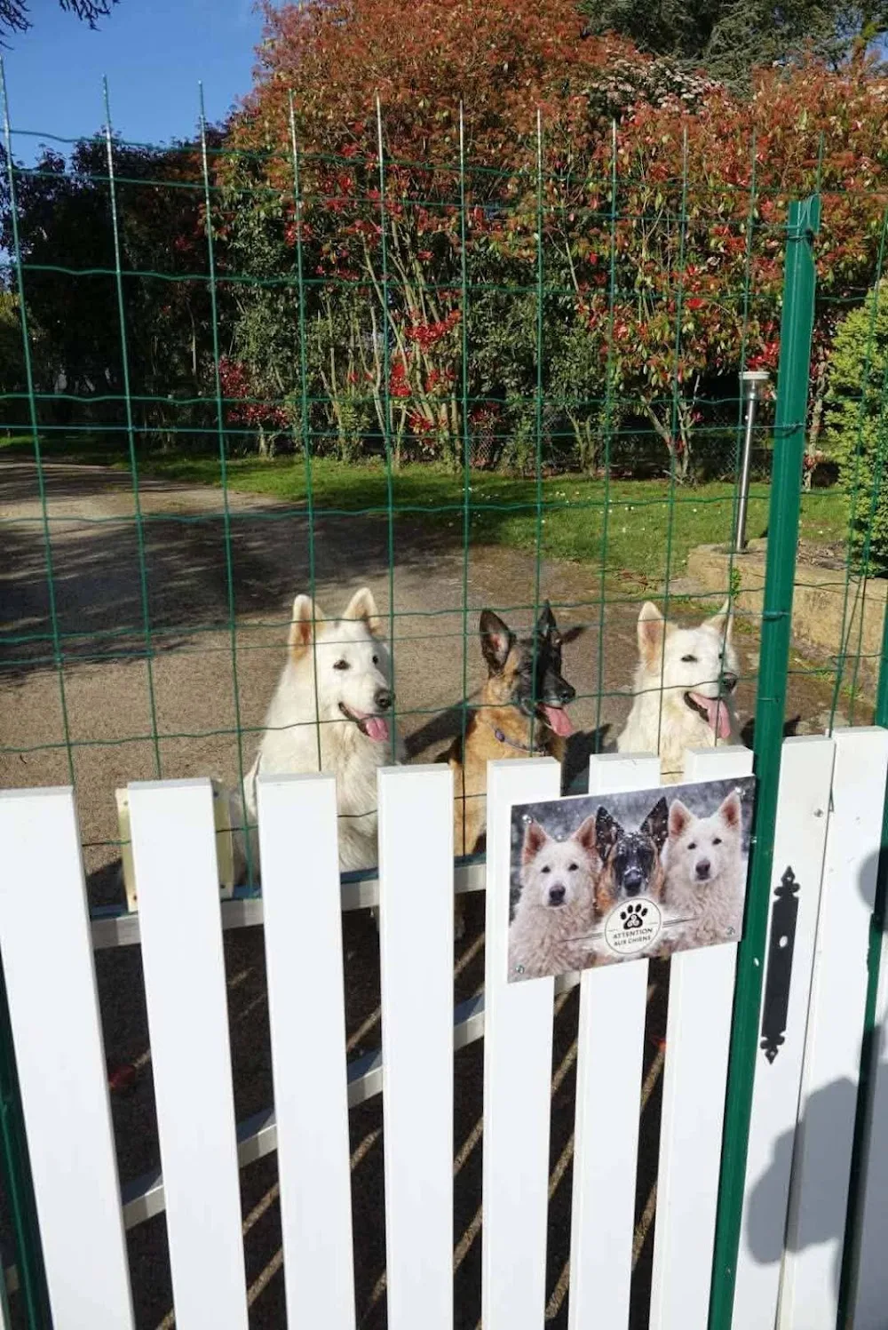 Pension Canine de l’Oust - Bretagne pet otel görseli 2