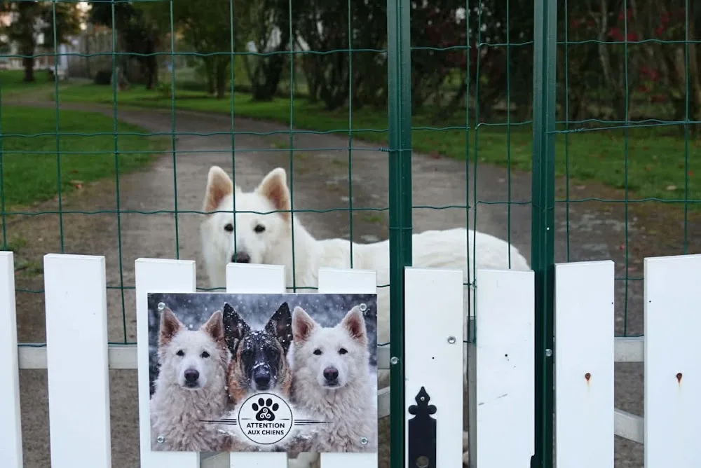 Pension Canine de l’Oust - Bretagne pet otel görseli 3