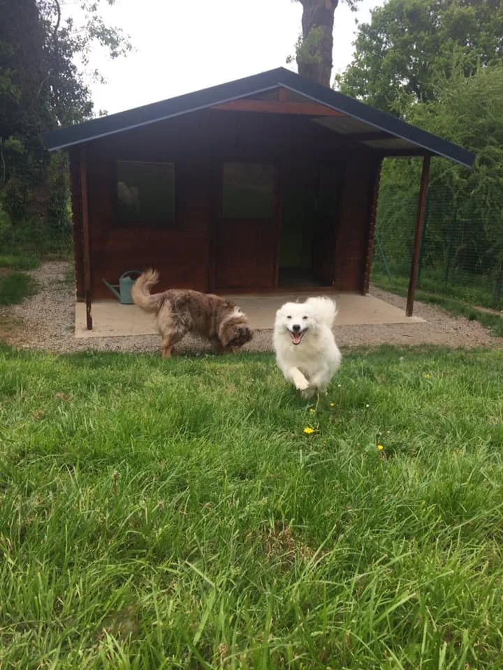 Pension canine du Coetny - Bretagne pet otel