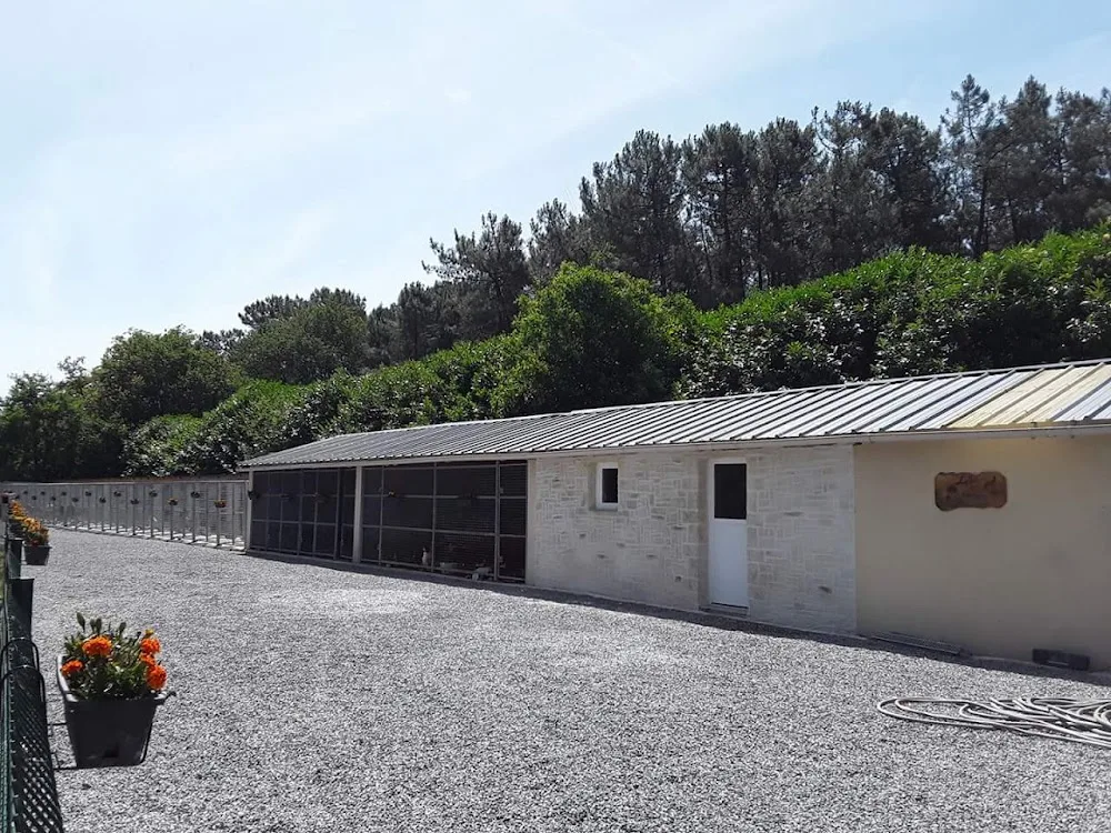 Pension Canine et Elevage de Springer Spaniel de l'Echo des Etangs 44 - Bretagne pet otel görseli 2