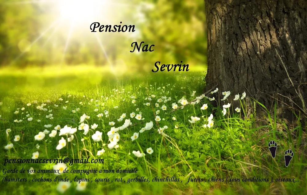 Pension nac sevrin - Bretagne pet otel görseli 2