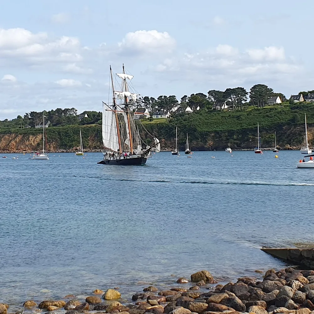 Pension Pattes et Compagnie - Bretagne pet otel görseli 4