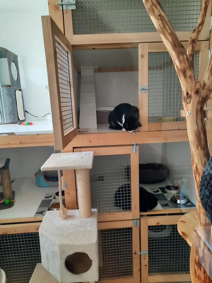 P'Ty Chat et Cie - Bretagne pet otel