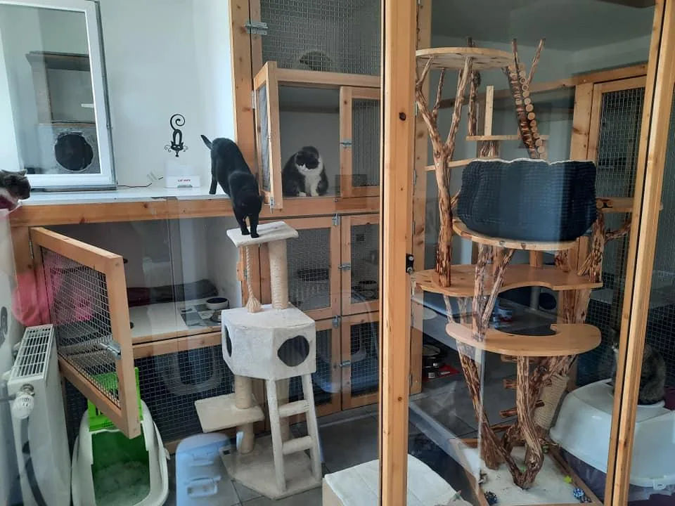 P'Ty Chat et Cie - Bretagne pet otel görseli 3