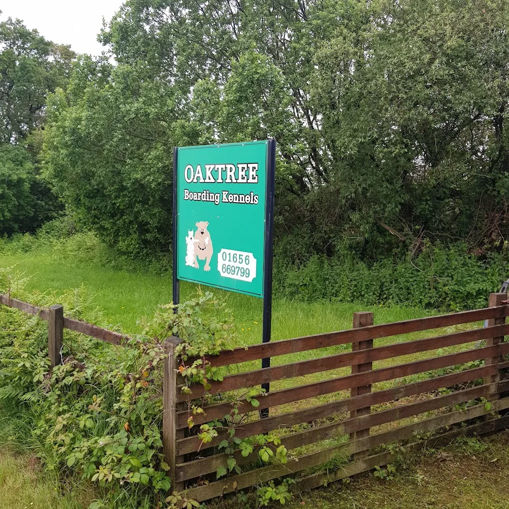 Oaktree Kennels - Bridgend pet otel görseli 3