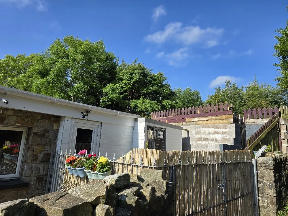 Verity's Pet Services - Bridgend pet otel görseli 3