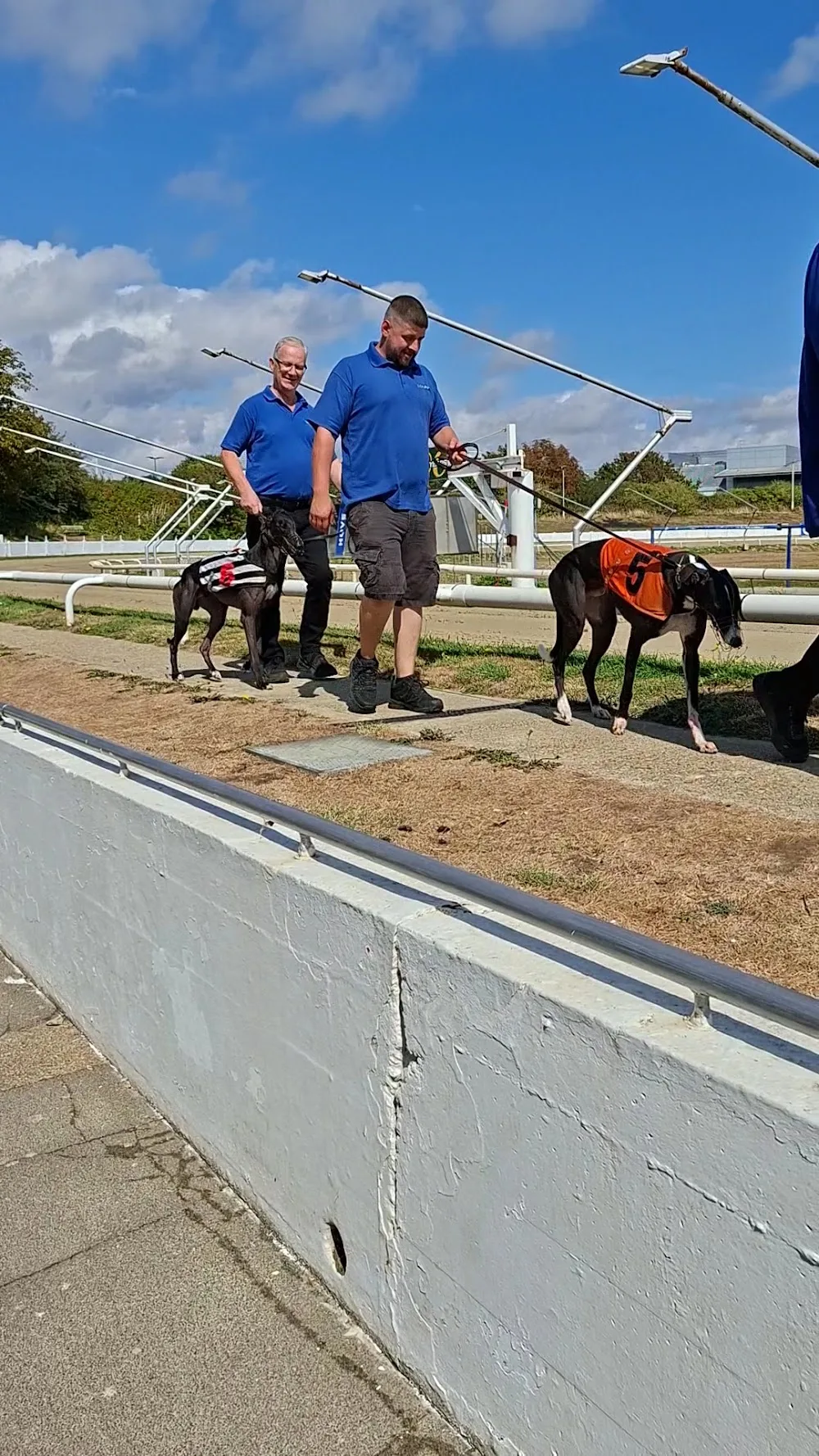 Brighton & Hove Greyhound Kennels - Brighton and Hove pet otel