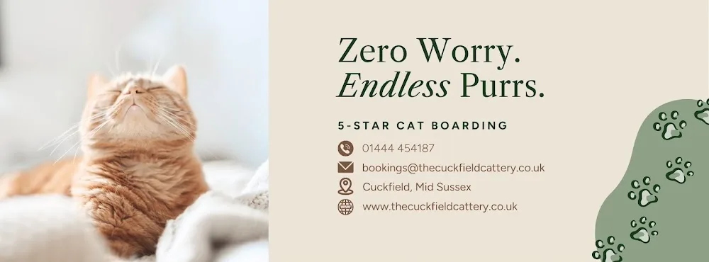 Cuckfield Cattery - Brighton and Hove pet otel