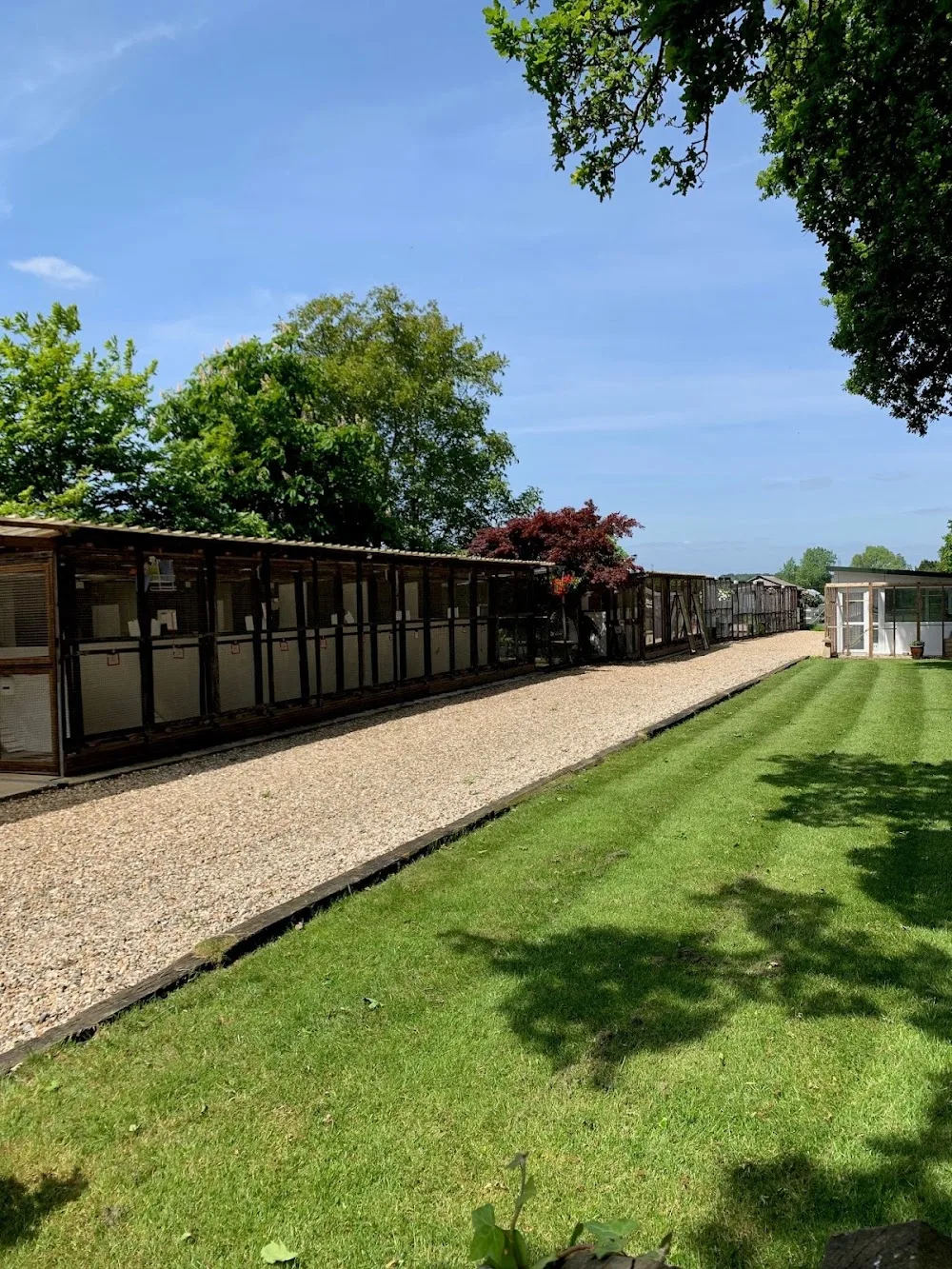Eastmead Boarding Cattery - Brighton and Hove pet otel görseli 3