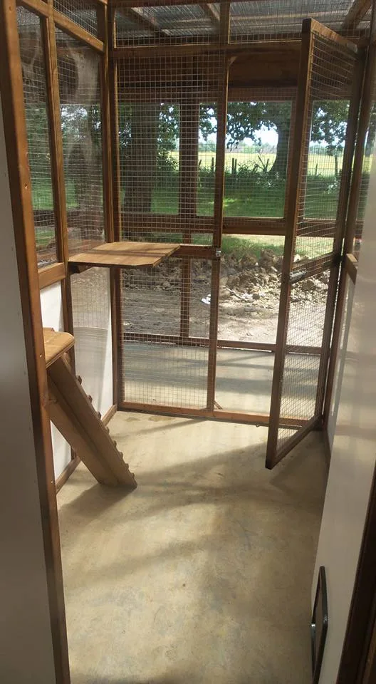 Hickstead Lodge Cattery - Brighton and Hove pet otel görseli 3