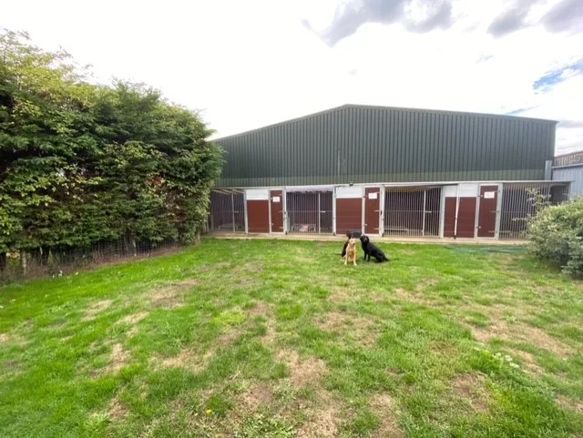 Penny Paws Kennels - Brighton and Hove pet otel