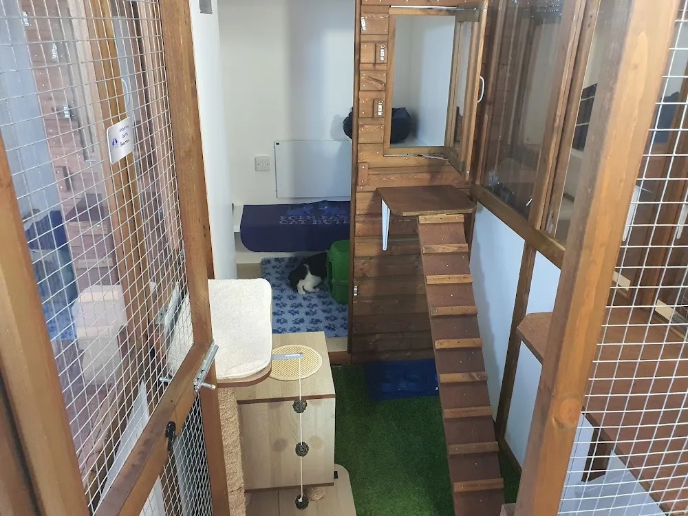 Posh Paws Cat Hotel - Brighton and Hove pet otel görseli 3