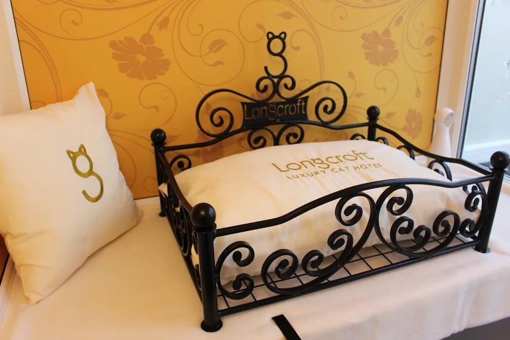 Longcroft Luxury Cat Hotel Liphook | Hampshire - Brighton pet otel görseli 3