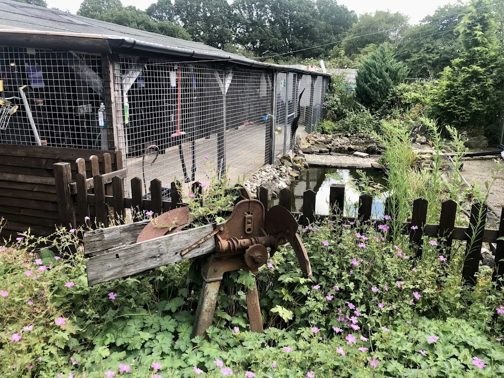 The Willows Cattery - Brighton pet otel