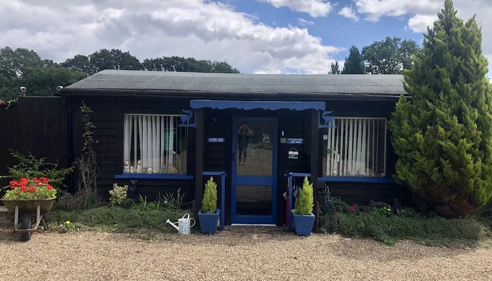 The Willows Cattery - Brighton pet otel görseli 3