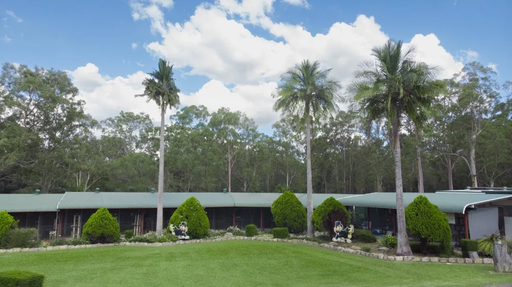 AAA Pet Resort Brisbane - Brisbane pet otel