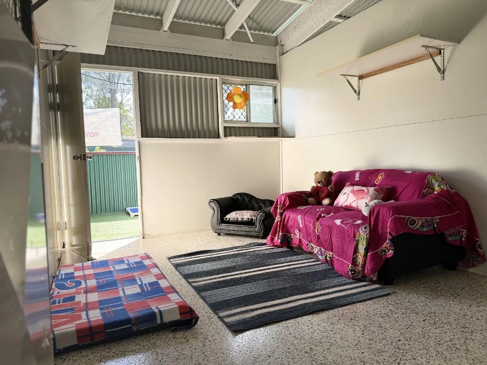 AAA Pet Resort Brisbane - Brisbane pet otel görseli 3