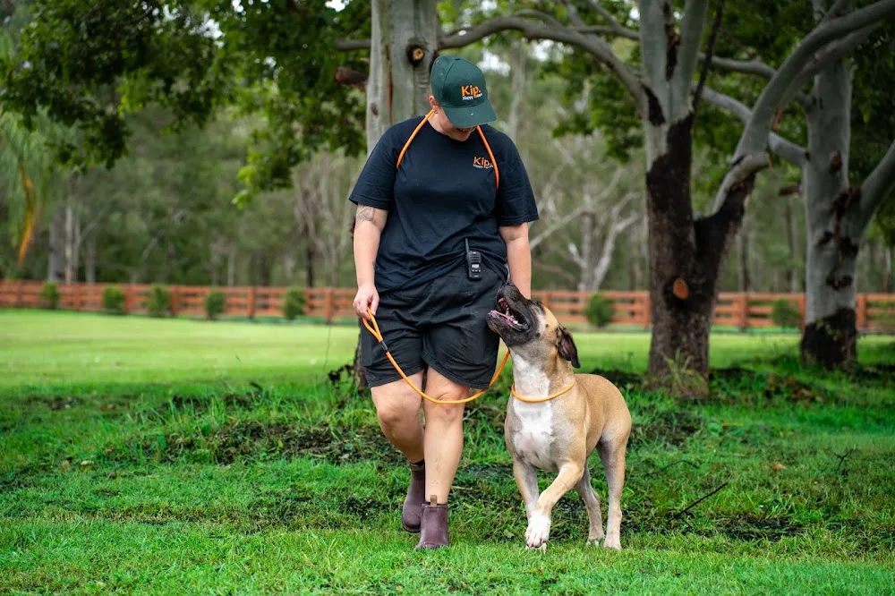 Kip Ipswich Dog Boarding - Brisbane pet otel görseli 3