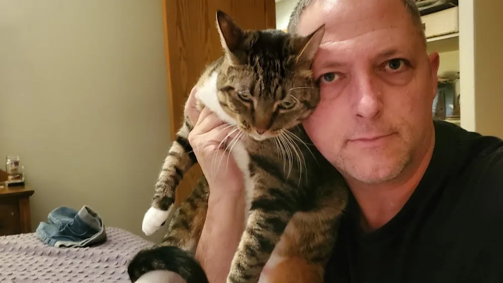 Meow Mates - Brisbane pet otel görseli 3