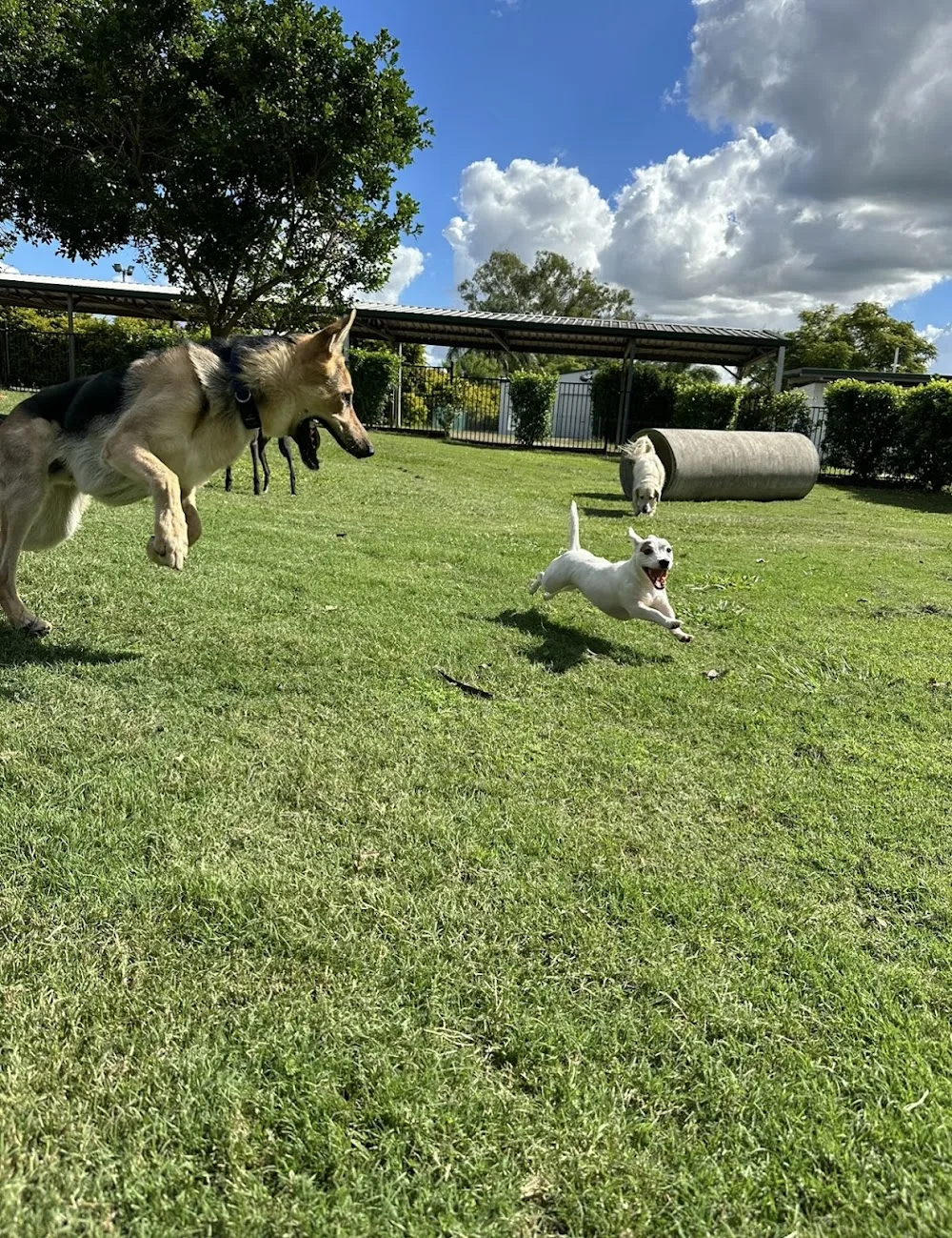 The Links Pet Centre - Pet Boarding Brisbane - Brisbane pet otel