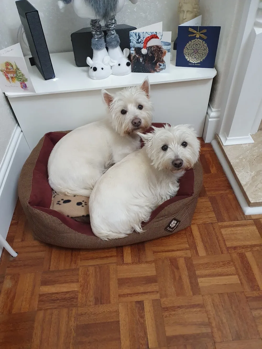Barkers Kennels Ltd - Bristol pet otel