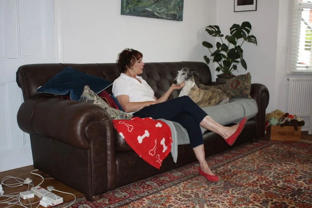 Sighthound Home Boarding - Bristol pet otel görseli 3
