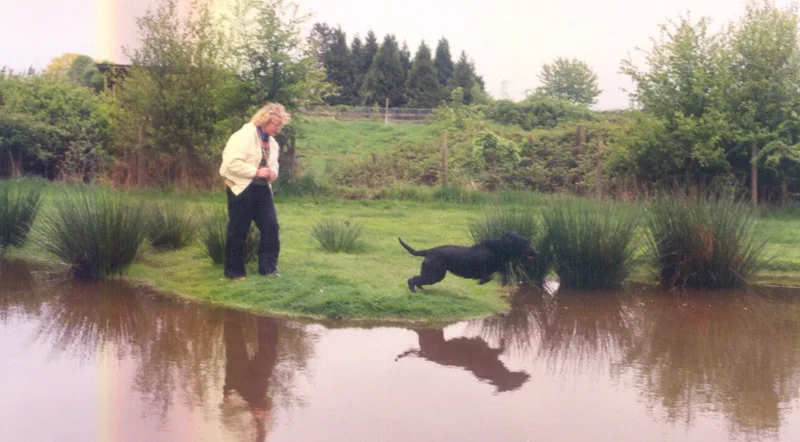Absolute Kennels - British Columbia pet otel görseli 7
