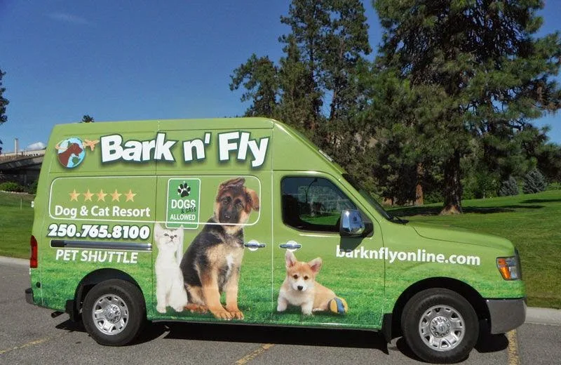 Bark n' Fly Dog Daycare and Boarding - British Columbia pet otel görseli 2
