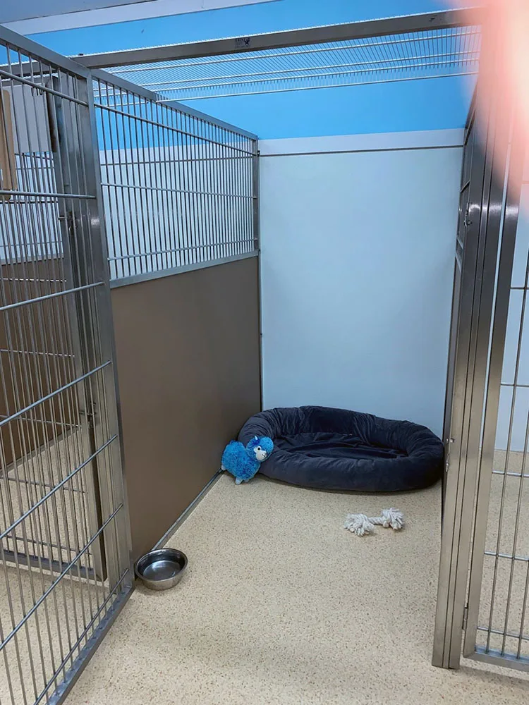 Camrose Kennels - British Columbia pet otel görseli 3