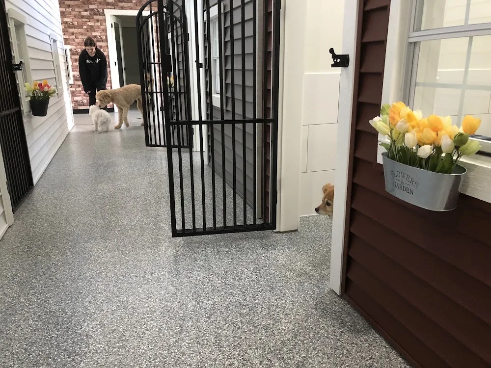 Canine Meadows Pet Resort - British Columbia pet otel görseli 3