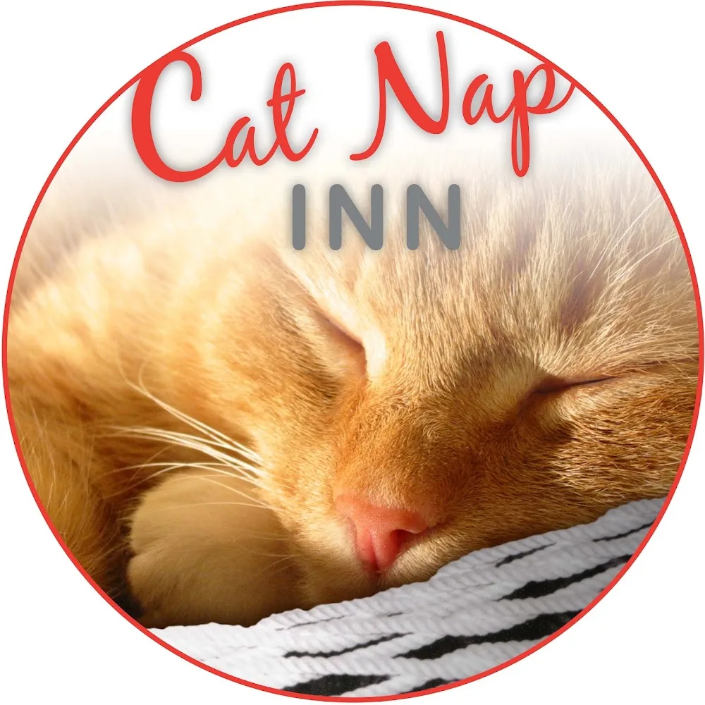 Cat Nap Inn - British Columbia pet otel görseli 6