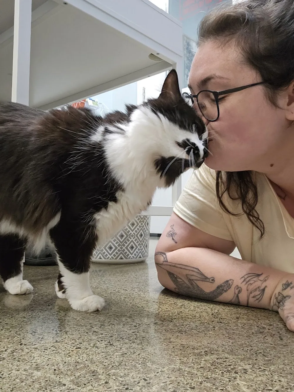 Cat Utopia - British Columbia pet otel görseli 6