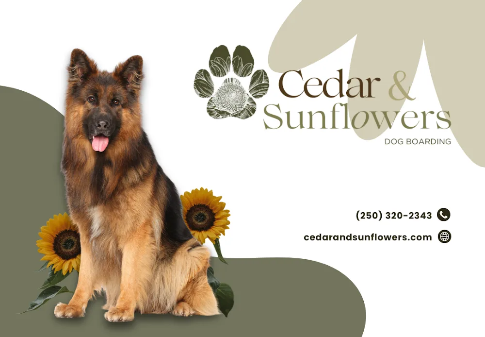 Cedar & Sunflowers Pet Retreat - British Columbia pet otel görseli 2