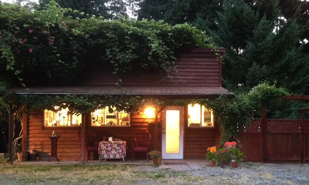 Comfy Cat Boarding Kennel - British Columbia pet otel